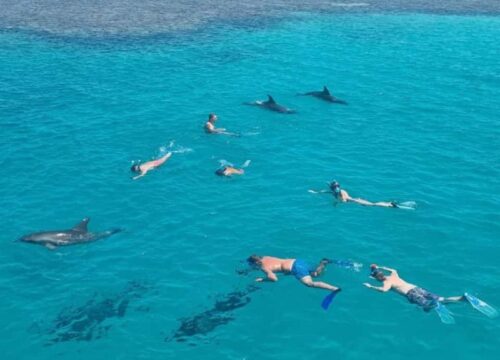 Sataya Dolphin House from Marsa Alam